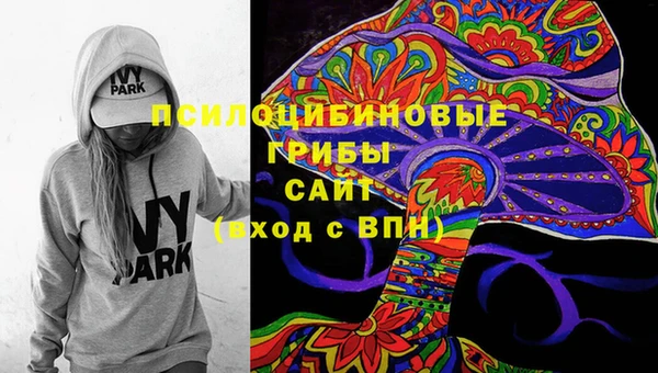 стаф Алексеевка
