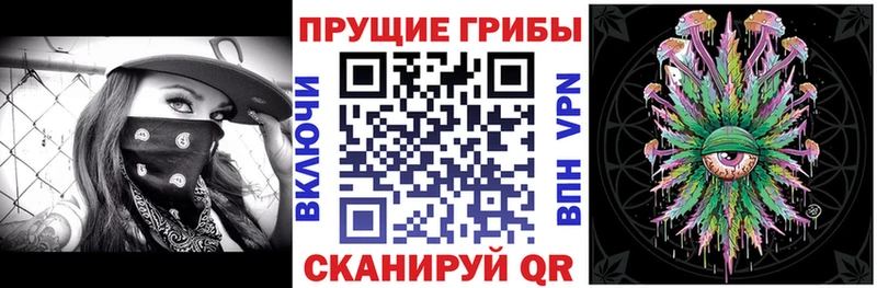Псилоцибиновые грибы Psilocybe  хочу наркоту  Мантурово 